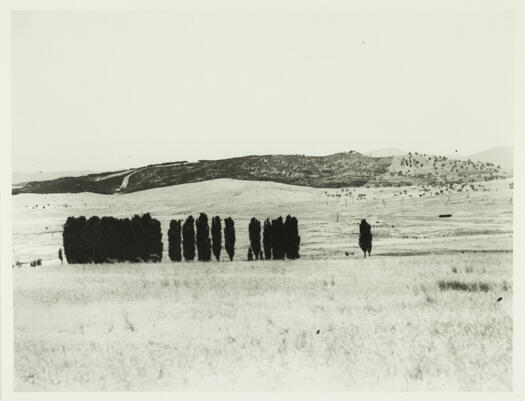 A view across the Canberra plains to Mt. Stromlo