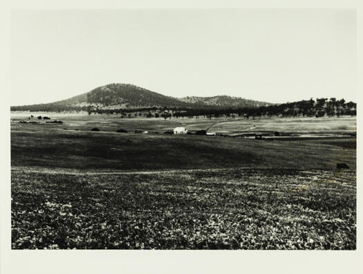 A view from south of the Molonglo River to Mt. Pleasant and Mt. Ainlsie. Scott's farmhouse is marked with a '?'