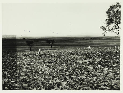 Early Canberra plain along the Molonglo River showing Corkhill's Dairy on the right hand side in the middle distance.