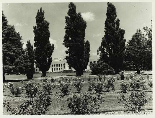 Parliament House rose gardens, lawns and poplars