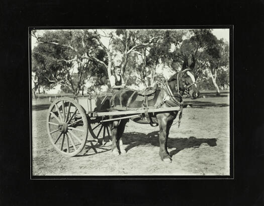 Horse and cart with a man sitting in the cart.