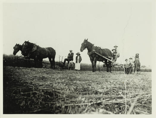 "Springbank", property of the Sullivan family. Springbank was established by William Sullivan and his family at the junction of Canbury (now Sullivans) Creek and the Molonglo River. The property is mostly submerged beneath Lake Burley Griffin. An island is named after Springbank.