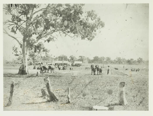 Ploughing match in front of the Cricketer's Arms Hotel, Hall. Five teams can be seen with other horses grazing nearby.