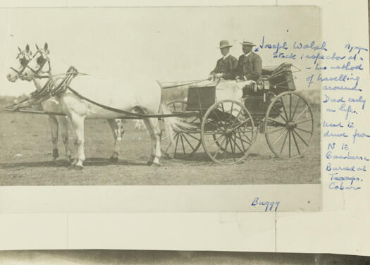 Two horses and a buggy