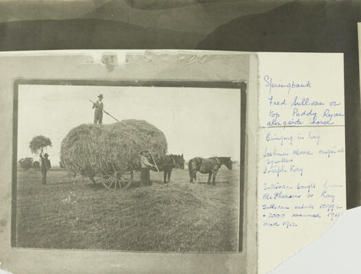 Gathering hay