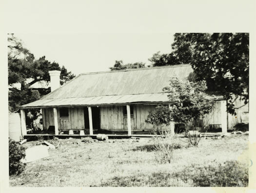 John Shumack's residence, Weetangera showing a slab hut with a galvanised tin roof