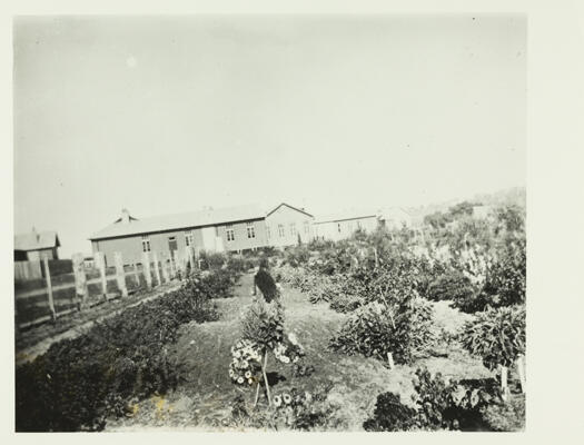 Housing at Westridge, showing wooden huts in the middle distance with a flower garden nearby.
