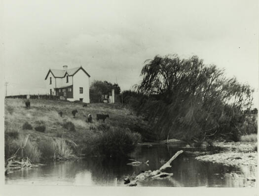 Corkhill's Dairy on Molonglo River taken from across the river. The house is a white, two-storey building. 