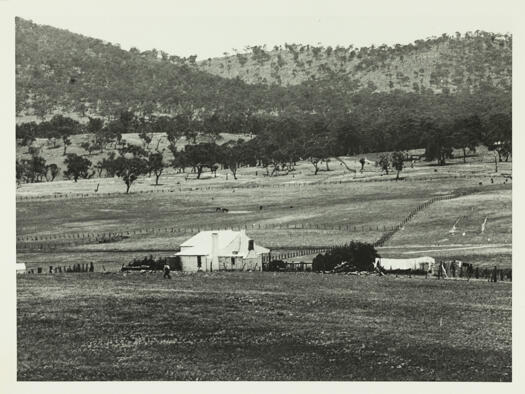 George Rottenbury's farm taken from near what is now St Mark's Library, Barton. The photo shows the farmhouse with stock grazing in the background.