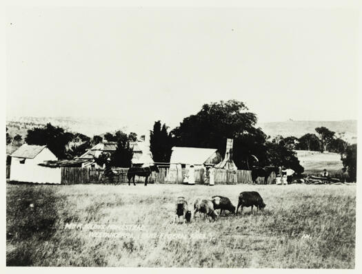 R. Kilby's residence, Weetangera. A man can be seen sitting in a sulky. Two woman with a small child and a man with two small children can be seen. Five sheep are grazing in the foreground.