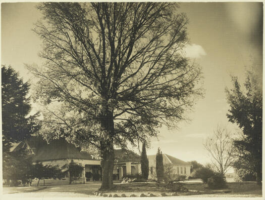 Government House, Yarralumla from the front, showing trees shedding their leaves.