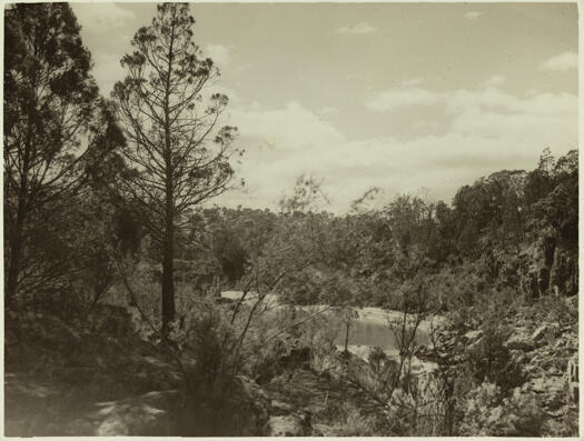 Murrumbidgee River, Tharwa from above