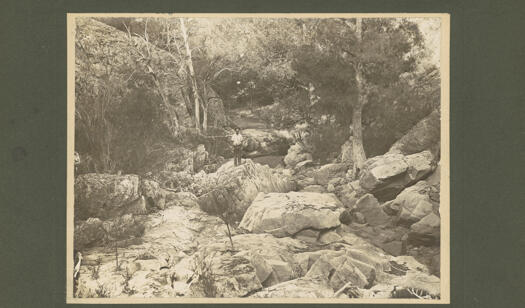 Cotter River with a man standing on a rock in a gorge