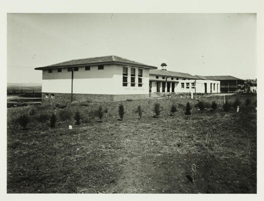 Telopea Park High School, Barton. Small shrubs are planted in front of the school.