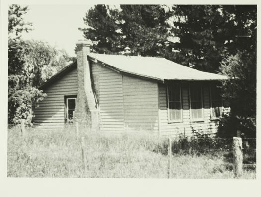 The old school house, Weetangera. The large pine trees on the left were still standing more than 30 years later. The garden is overgrown.