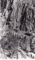 A cliff at Ginninderra Creek