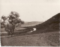 View looking down a hill to the Molonglo River with a gum tree to the left and hills in the distance.