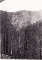 View of Ginninderra Falls looking across tree tops