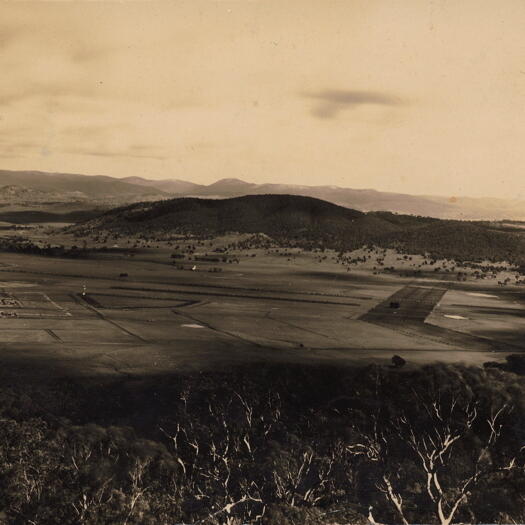 View from Mt Ainslie towards Haig Park. Northbourne Avenue is visible.