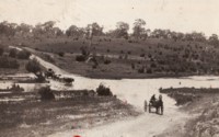 Bullock team fording the Queanbeyan River