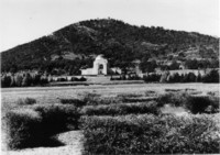 Australian War Memorial - view from the hedge plantings, Anzac Parade