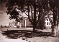 Front of Parliament House from the north western corner near the Senate rose gardens