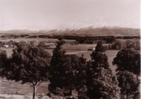 Snow on the Brindabella Mountains as taken from Acton. Shows the racecourse in the foreground and 'Springbank' homestead, both of which are now covered by Lake Burley Griffin.