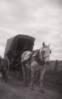 Old hawkers horse drawn van