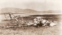 First plane crash, Canberra. At Dickson aerodrome 10 February 1926. Two killed - Flying Officer William Mackenzie Pitt and aircraftsman William Edward Callander. See Canberra Historical Journal no. 84 pages 26-33 -article by Jane Goffman.