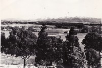 View of Brindabellas