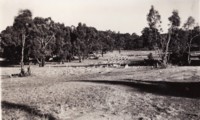 Foundations for cottages at the Gap (Westlake), now part of Stirling Park, Yarralumla