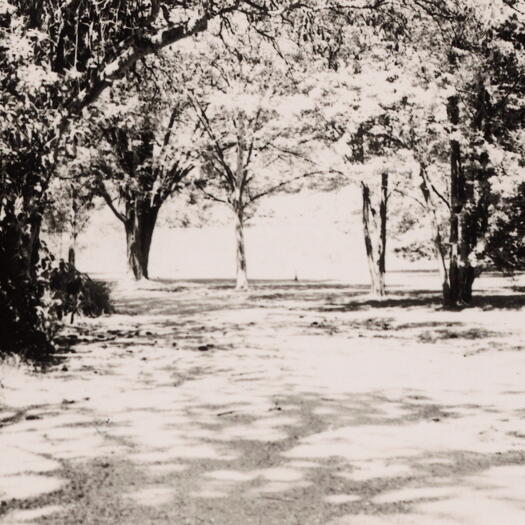 Entrance to Foxlow on the Captains Flat Road