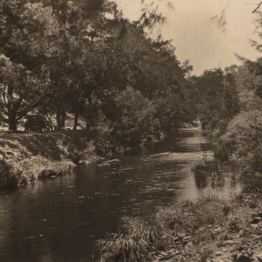 Cotter River between the kiosk and the dam