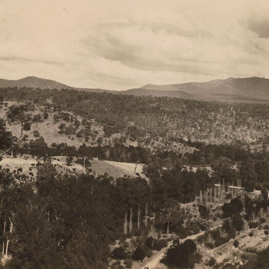 Road to Cotter Dam, above site