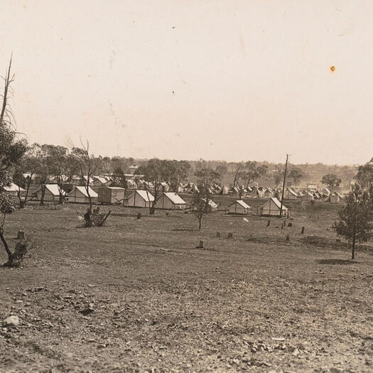 Bachelors tents, Acton