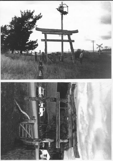Torii: gate to Shinto Shrine, part of Environa near Tralee