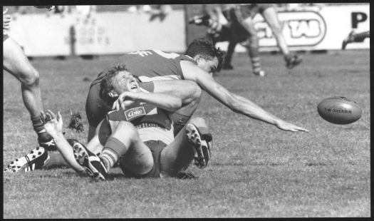 Australian Rules - Sydney Swans v ACTAFL