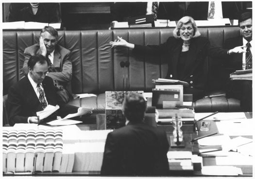 Ros Kelly, Member of the House of Representatives for Canberra and Minister for the Arts, Sport, the Environment and Territories, faces Question Time attacks over the distribution of funds before the 1993 federal election. 