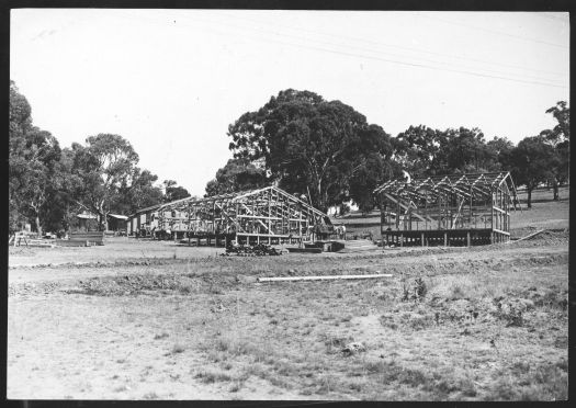 Wooden Cottages at The Gap