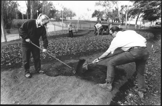 Parks and Conservation Service staff preparing Floriade