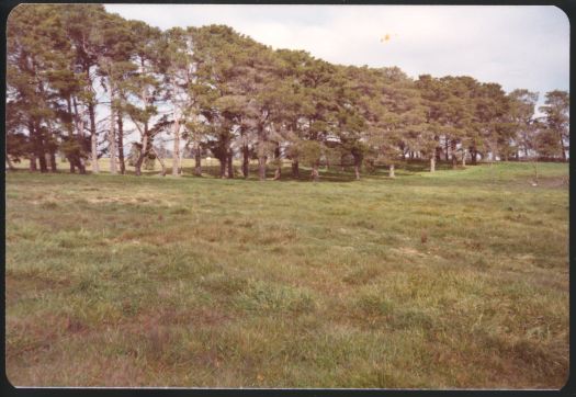 Ruins of Cranleigh Homestead, home of Lieutenant-General (James) Gordon Legge. The homestead was located on the present corner of Southern Cross & Kingsford Smith Drives, Latham, Belconnen, just off Real Place.