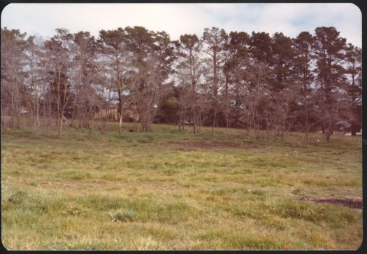 Ruins of Cranleigh Homestead, Belconnen