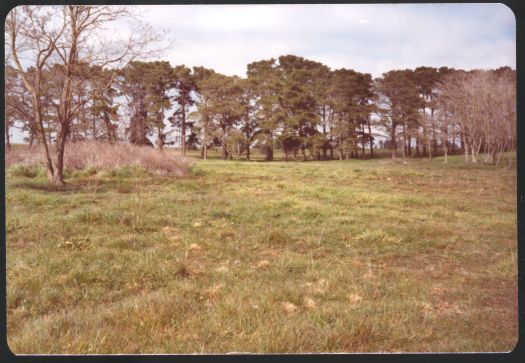 Ruins of Cranleigh Homestead, home of Lieutenant-General (James) Gordon Legge. The homestead was located on the present corner of Southern Cross & Kingsford Smith Drives, Latham, Belconnen, just off Real Place.