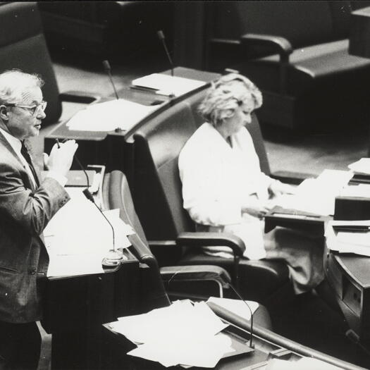 Senate debate on native title