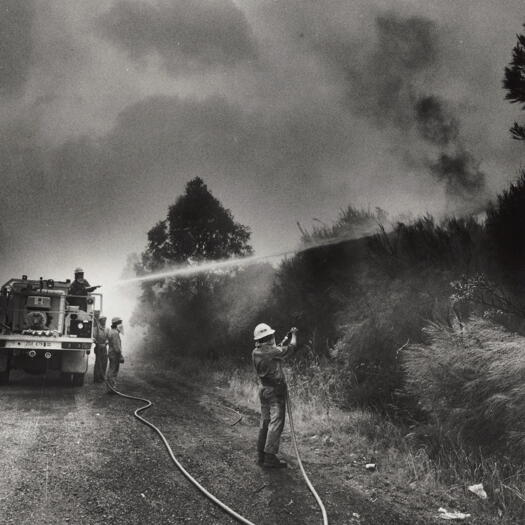 ACT firefighters at bushfire, Mona Vale Road, Sydney