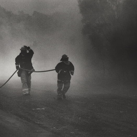 ACT firefighters at bushfire, Mona Vale Rd, Sydney