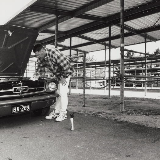 Summernats at Exhibition Park - mid 60s Mustang being cleaned
