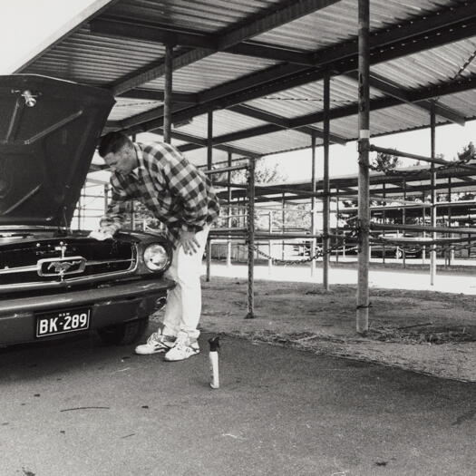 Summernats at Exhibition Park