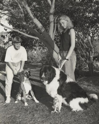 Kambah street with the highest dog population