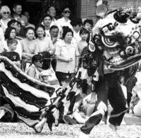 Crowds watch a lion dance in Woolley St Dickson to celebrate the Chinese New Year.